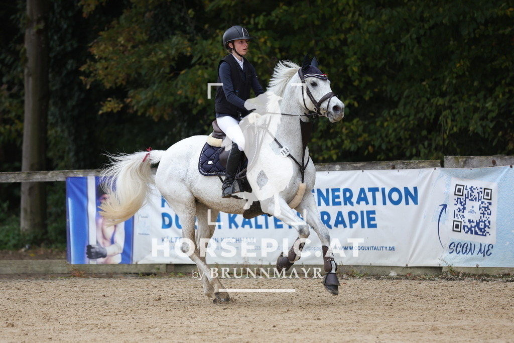 0P6A3938 | Willkommen bei Brunnmayr - Design & Fotografie – Ihrem Spezialisten für Reitturniere und Pferdeveranstaltungen in Oberösterreich, Salzburg und Bayern! Seit über 17 Jahren sind wir leidenschaftlich dabei.