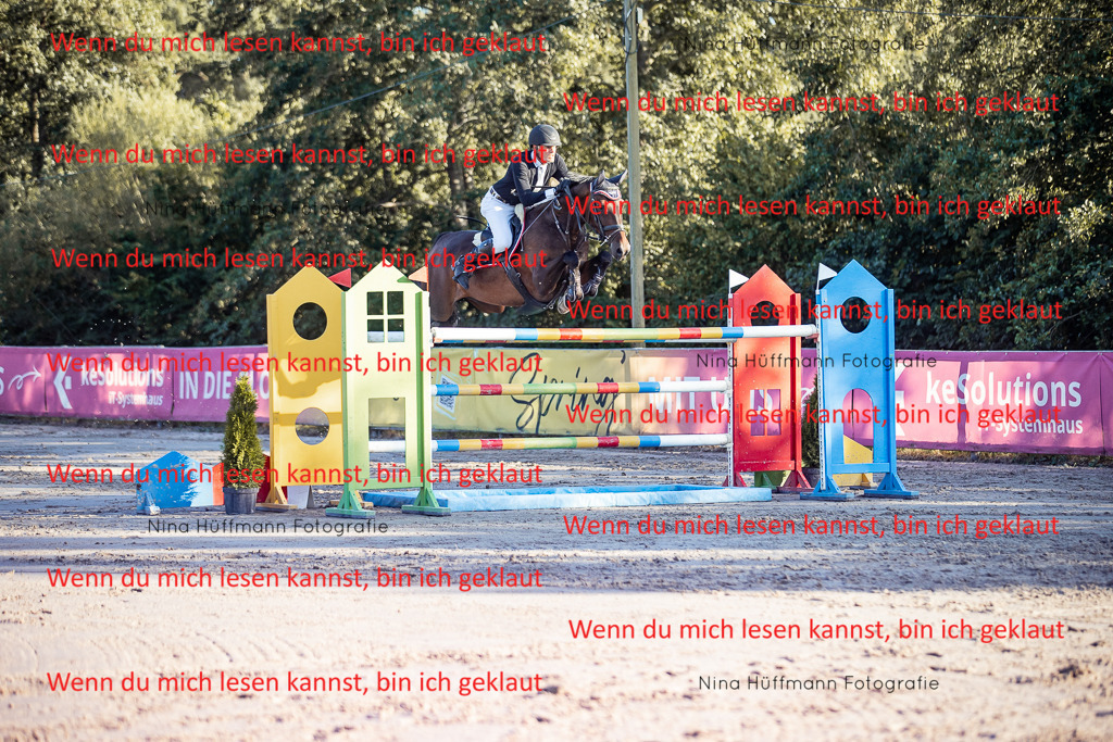 BK1A8822 | Turnierbilder Turnierfotos Nina Hüffmann Turnierfotografie Pferdefotografie Tierzeichnung Haustierzeichnung Pferdezeichnung Hundezeichnung Videograf  - Realisiert mit Pictrs.com