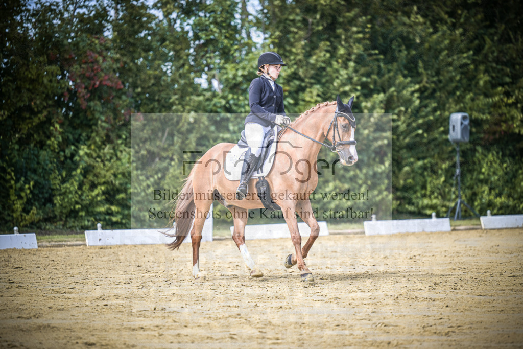 DOS_5438 | Entdecke hochwertige Reitturnierfotos von Foto Oger. Professionell, emotional und authentisch – jetzt Lieblingsmomente im Shop bestellen.Deutschlandweite Turnierfotografie. - Realisiert mit Pictrs.com