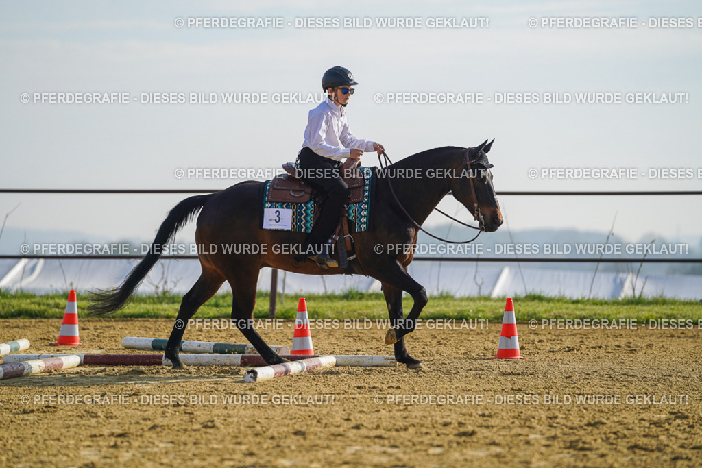 DSC00783 | Pferdegrafie