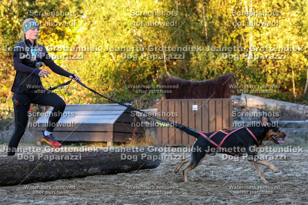 Dog Paparazzi - Strongdog 10-25-582 | Dog Paparazzi Jeanette Grottendiek Fotografie & Videografie - Realisiert mit Pictrs.com