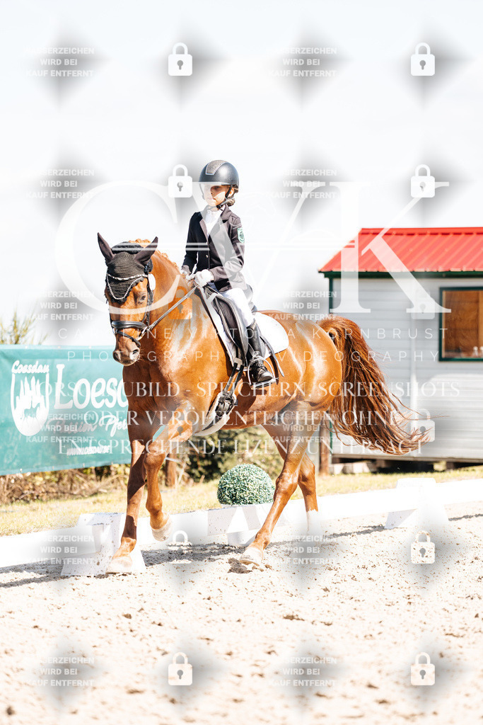 CK903094 | Turnierfotografie Pferdefotografie Trier Rheinland-Pfalz Pferdesport Reitsport Tierfotografie Sportfotografie Pferdevideo Pferdevideografie Equestrianvideography equestrianphotography  - Realisiert mit Pictrs.com