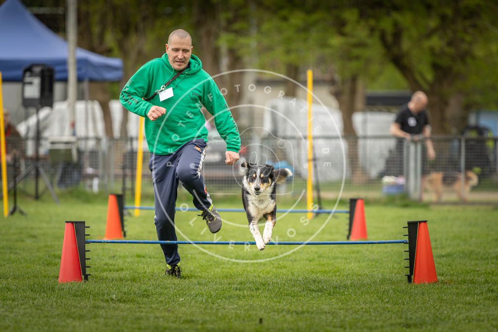 Pfotenfotografie_DV3A2699 | Hundefotografie, Tierfotograf, Pfotenfotografie, Fotoshooting Hund, Hunde Portrait, Hundesport, Hundeportraits, Heideshooting, Hunde, Sportfotograf, Hundefotograf, Turnierhundsport, THS,  - Realisiert mit Pictrs.com