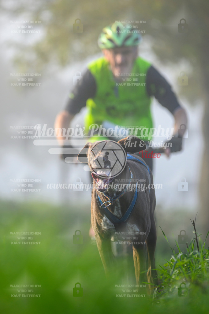 MompixPhotography_20TSB_E3_Bike-103 | PayLife