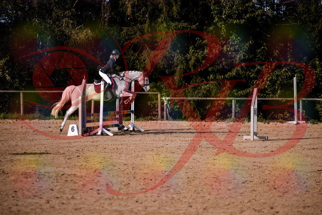 2026_10_03_Siefer-Hof_155157_Z81_71311197 | Professionelle Reitsport-, Turnier- und Eventfotografie von Robert Broda. Galerien mit ausgewählten und bearbeiteten Bildern direkt online ansehen und bestellen.