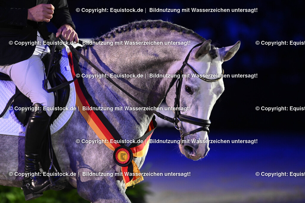 20241114_Ehrung Championatspferde_TOMsPiC_0094 | Foto: Thomas Hartig