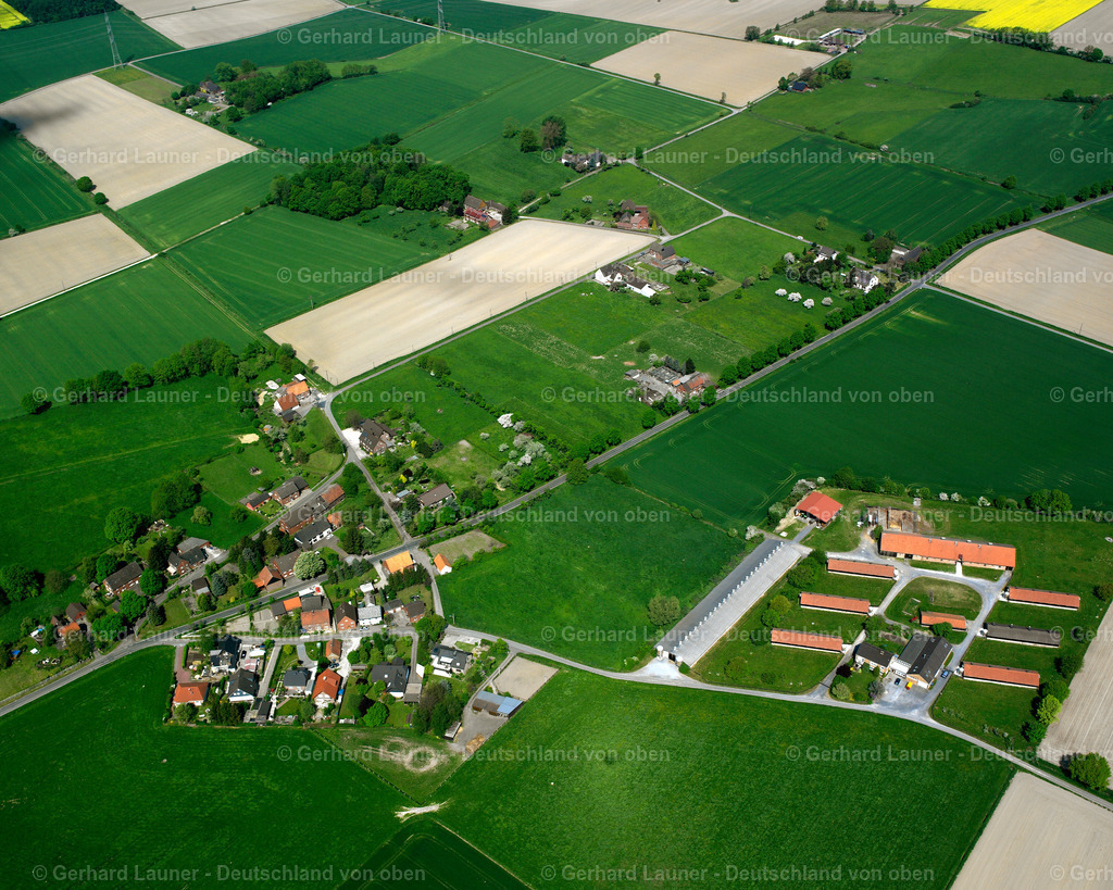 2620806 | Dinker, Welver