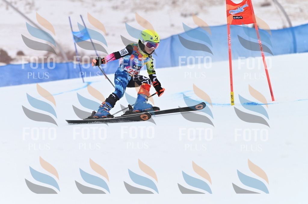 BGV_2682 | holidayphoto