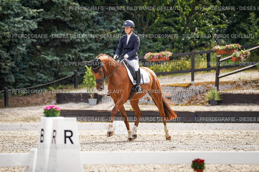 DSC07505 | Pferdegrafie