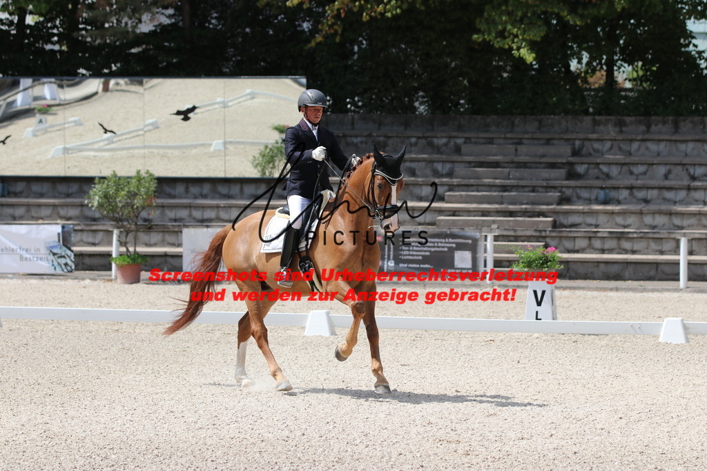 IMG_4309 | lmwpictures - Realisiert mit Pictrs.com