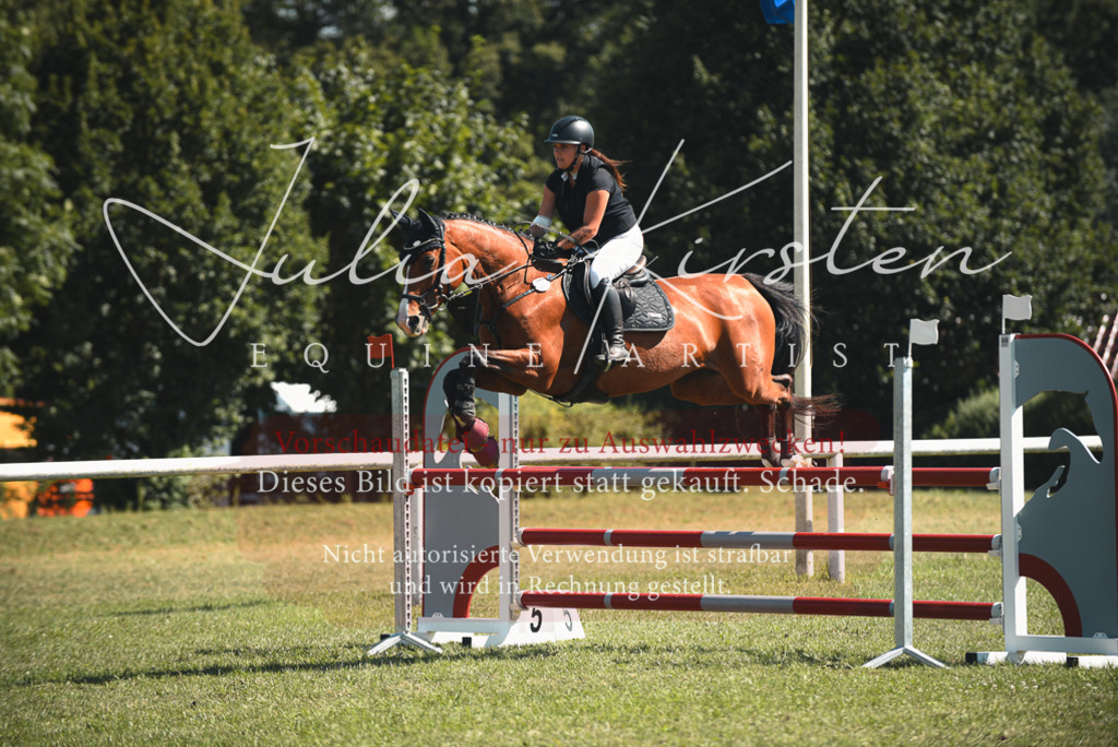 DSC_7101 | Pferde- und Turnierfotografie in Westsachsen. Pferdeportraits, Auftragszeichnungen und intuitive Kunst.