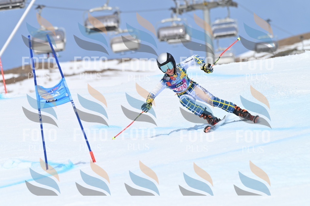 BGV_2253 | holidayphoto