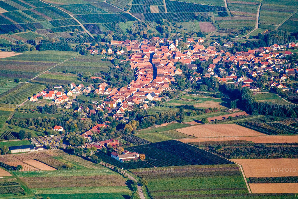 Luftbild: Ortsansicht von Westen in Göcklingen im Bundesland Rheinland-Pfalz in Deutschland. Foto: IMG_13685.jpg vom 28.09.2008 durch Werner Riehm/FLY-FOTO.de