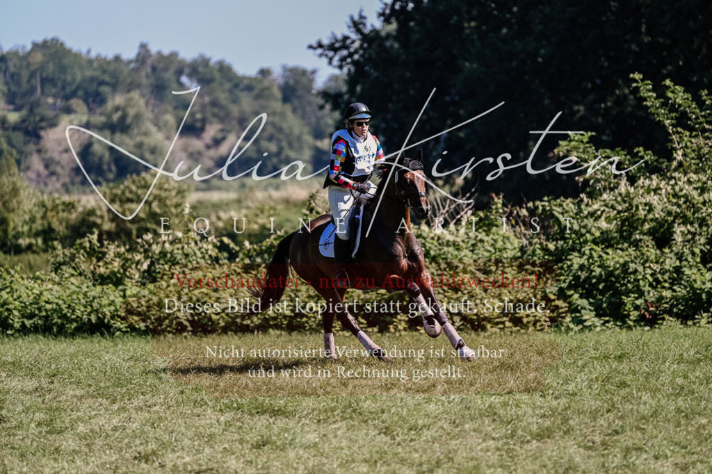 DSC_1578 | Pferde- und Turnierfotografie in Westsachsen. Pferdeportraits, Auftragszeichnungen und intuitive Kunst.