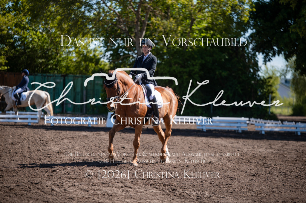 DSC_0041 | Christina-Kleuver