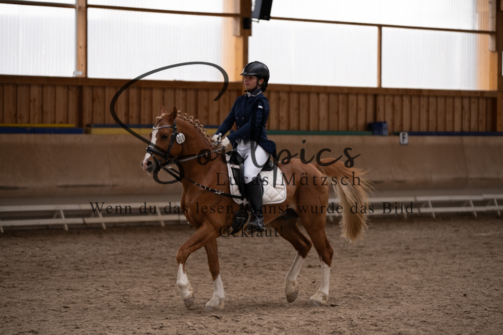 A7V09464 | Pferdefotograf