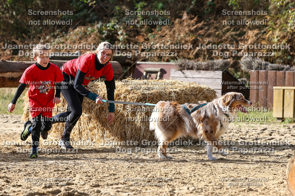 Dog Paparazzi - Strongdog 10-25-5729 | Dog Paparazzi Jeanette Grottendiek Fotografie & Videografie - Realisiert mit Pictrs.com