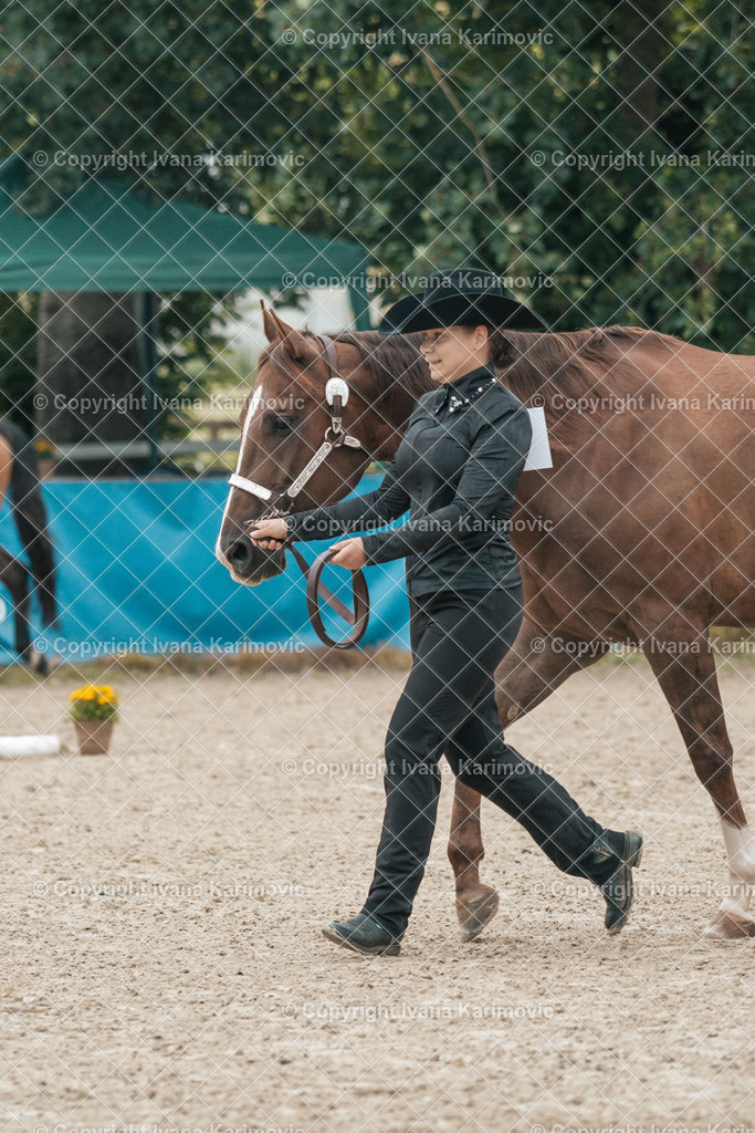 DSC08418 | ikphotography - Realisiert mit Pictrs.com