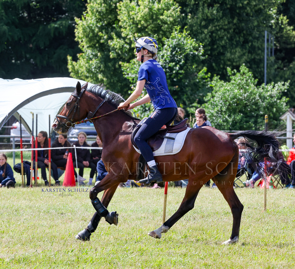 1B3A4863 | Reitsport Reiten