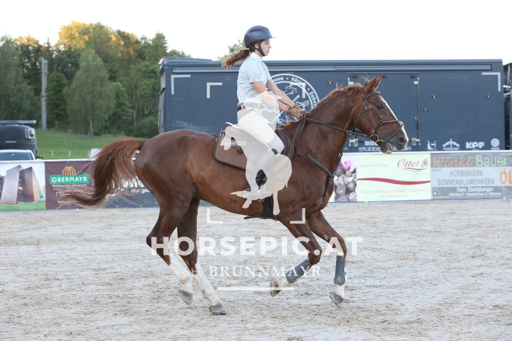 PP015536 | Willkommen bei Brunnmayr - Design & Fotografie – Ihrem Spezialisten für Reitturniere und Pferdeveranstaltungen in Oberösterreich, Salzburg und Bayern! Seit über 17 Jahren sind wir leidenschaftlich dabei.