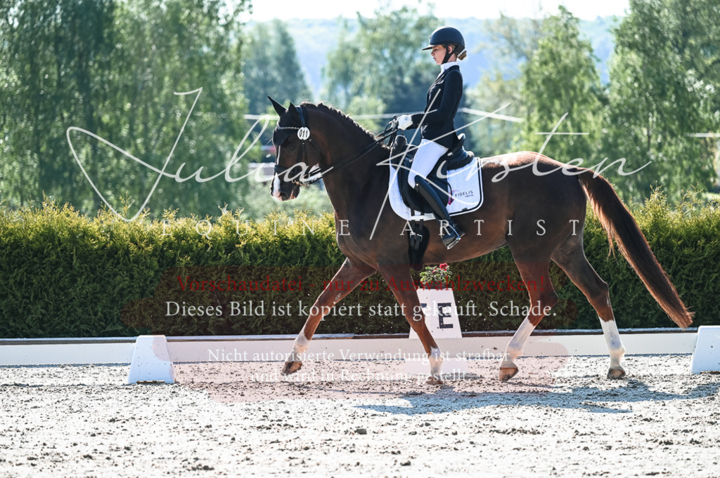 20230514_JK-Röhrsdorf-18-196 | Pferde- und Turnierfotografie in Westsachsen. Pferdeportraits, Auftragszeichnungen und intuitive Kunst.