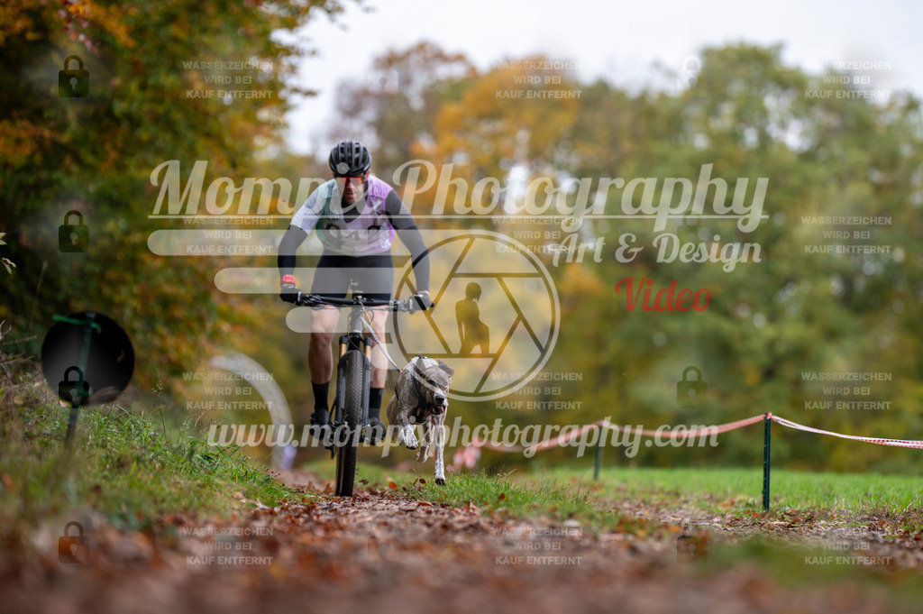 DBT_DAKM_SA_4_11_2023_Bike-5 | PayLife