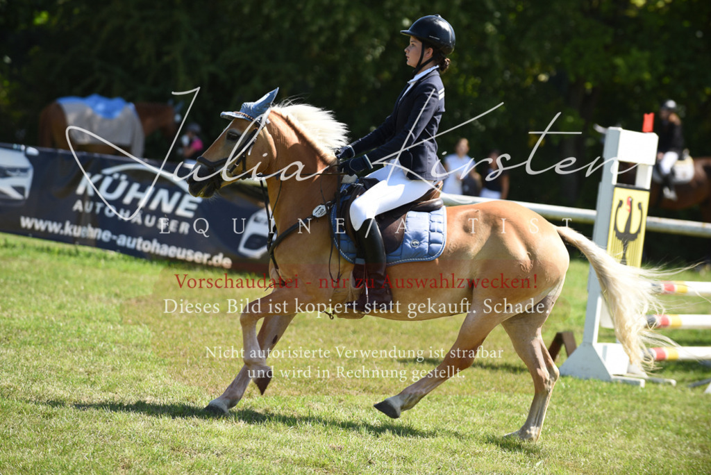 DSC_9627 | Pferde- und Turnierfotografie in Westsachsen. Pferdeportraits, Auftragszeichnungen und intuitive Kunst.