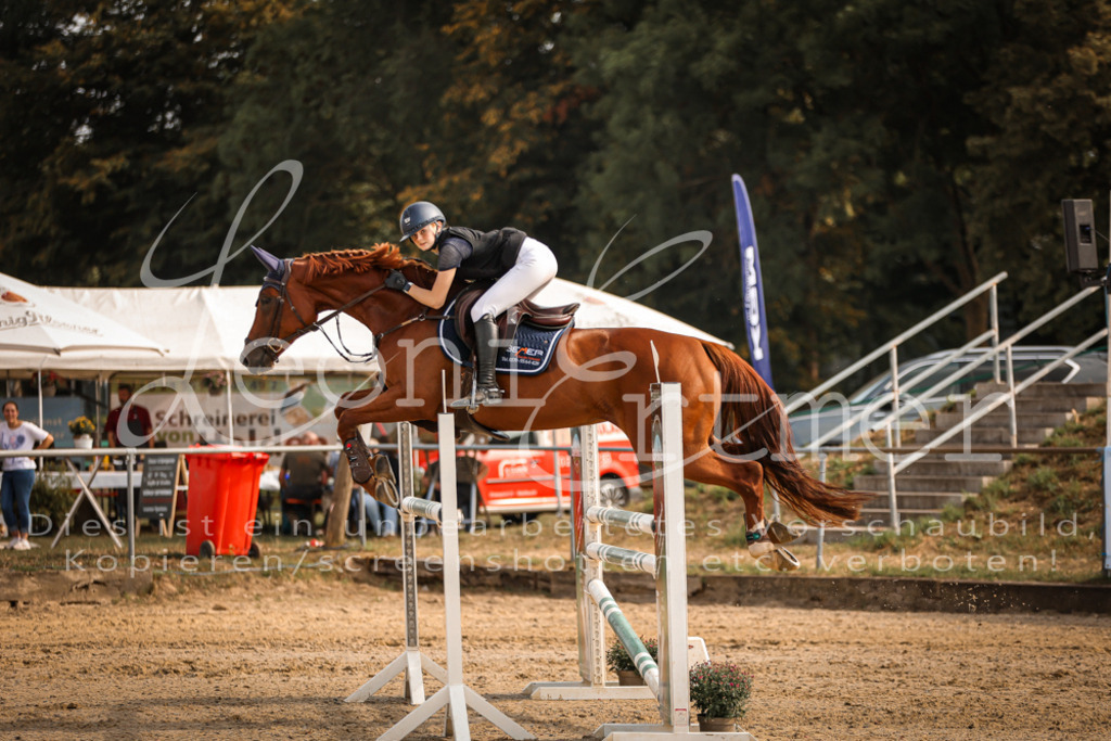 29.SaSpL00191 | Leoni Ertmer Photography - Realisiert mit Pictrs.com