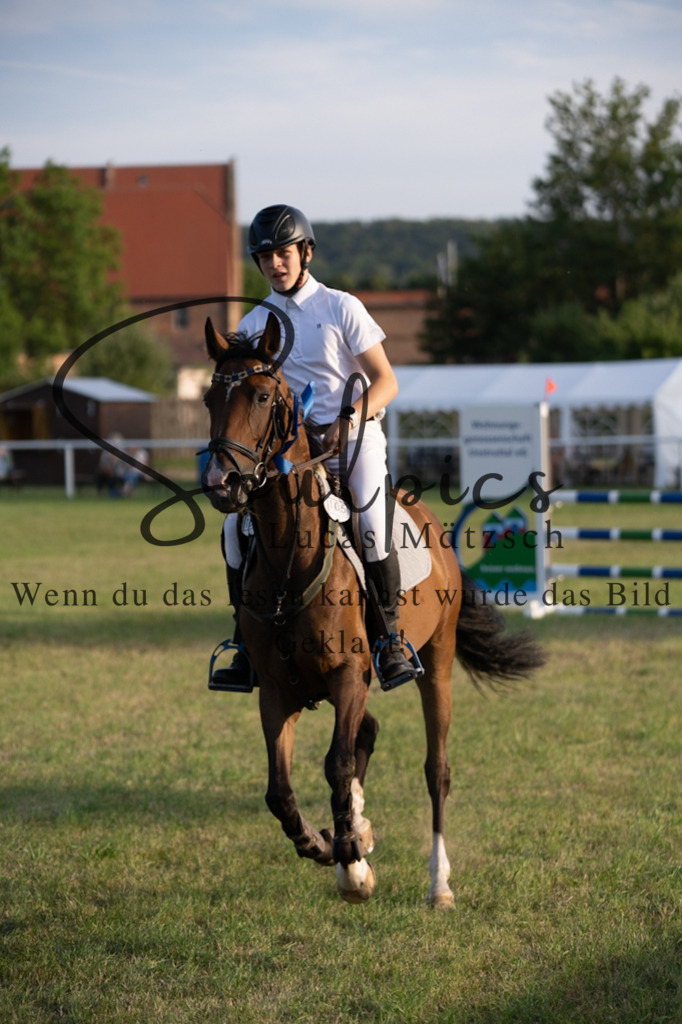 A7V01106 | Pferdefotograf