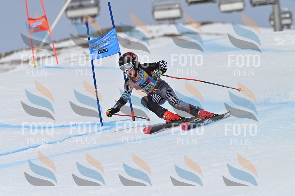 BGV_4643 | holidayphoto