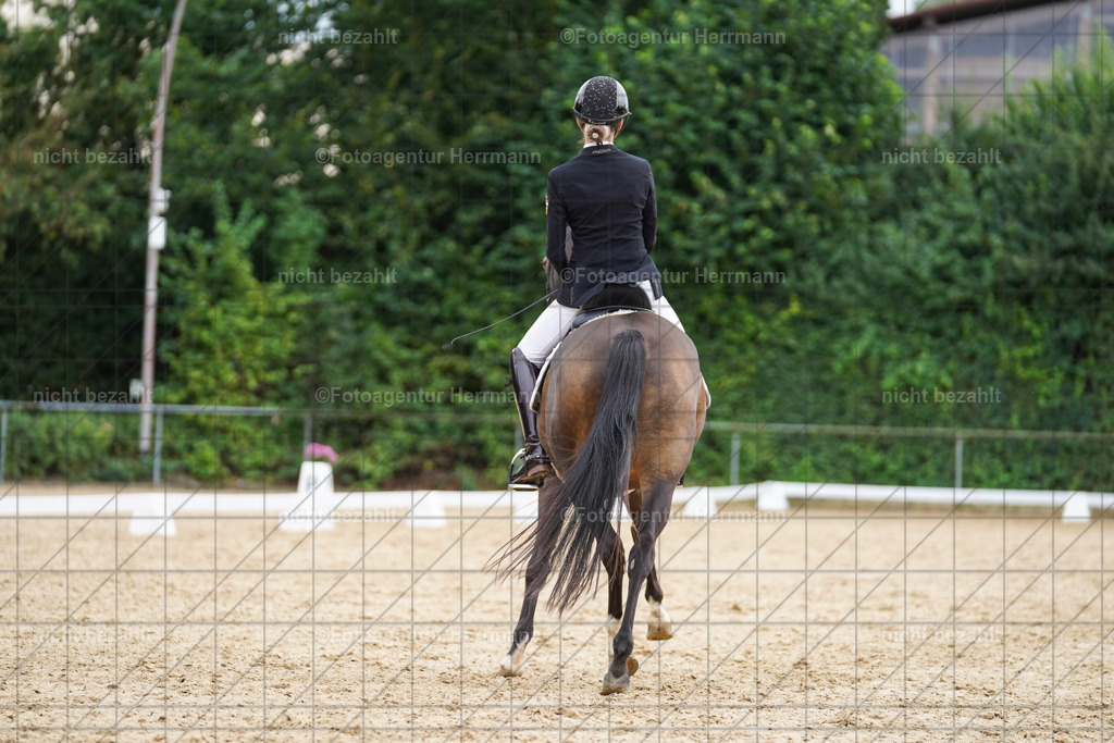 20240825-FAH09998 | Turnierbilder, Reitsportfotos, LAPO, Landesponyturnier, Turnierfotografen Bayern