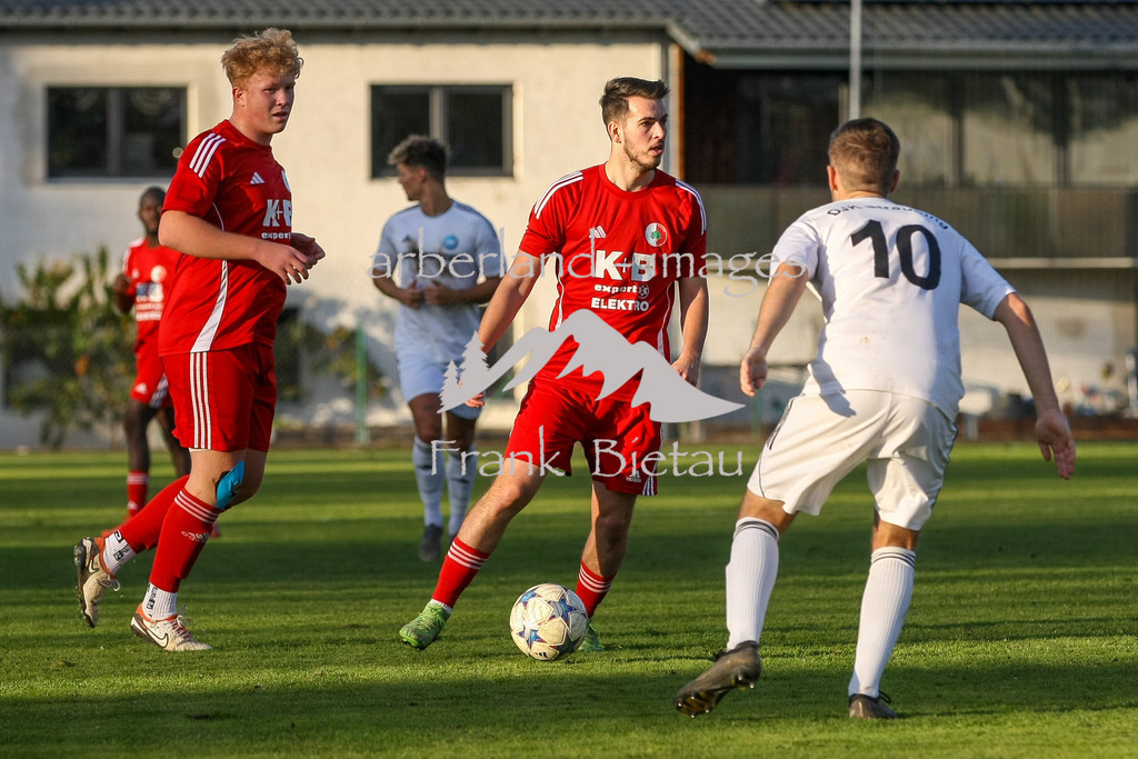 993T0182 | Roman Popovic, mitte