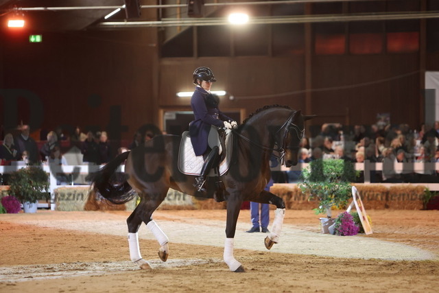 Marbach_2025_Auktion_Schauprogramm (52) | Alle Fotos der Reiterjournal Fotografin Doris Matthaes im Reiterjournal Online-Fotoshop. - Realisiert mit Pictrs.com