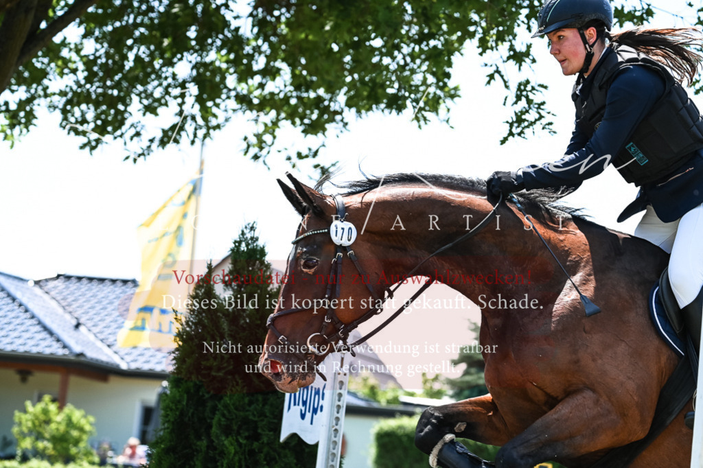 DSC_9972 | Pferde- und Turnierfotografie in Westsachsen. Pferdeportraits, Auftragszeichnungen und intuitive Kunst.