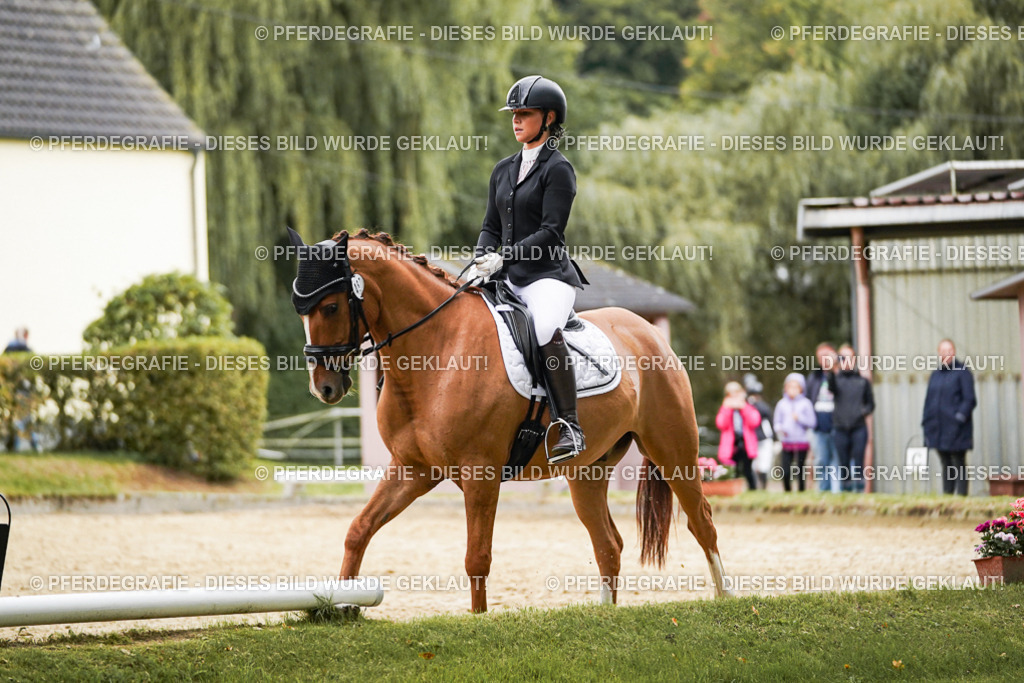 DSC08059 | Pferdegrafie