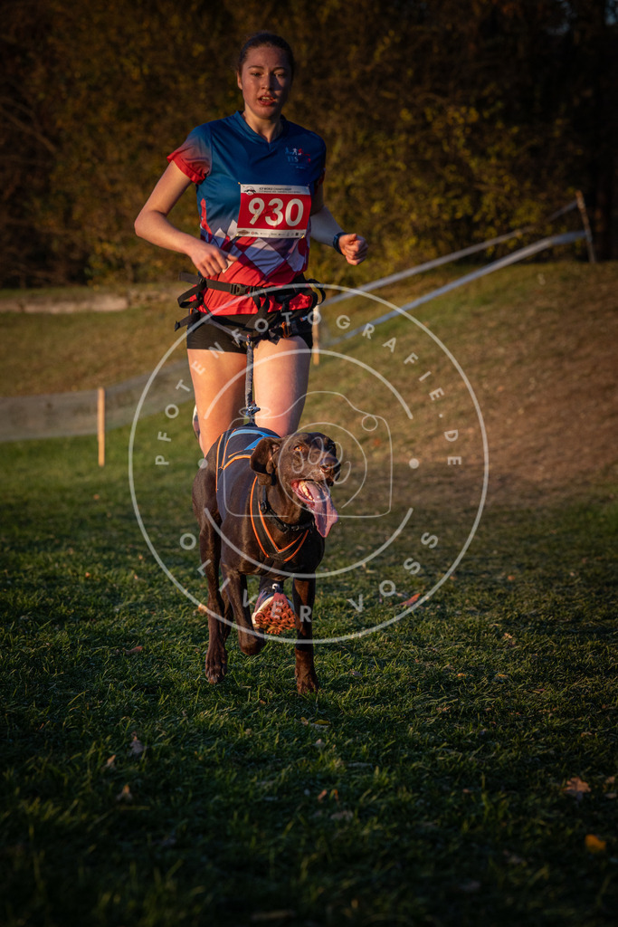 CaniXpix_0L8A1749 | Hundefotografie, Tierfotograf, Pfotenfotografie, Fotoshooting Hund, Hunde Portrait, Hundesport, Hundeportraits, Heideshooting, Hunde, Sportfotograf, Hundefotograf, Turnierhundsport, THS,  - Realisiert mit Pictrs.com