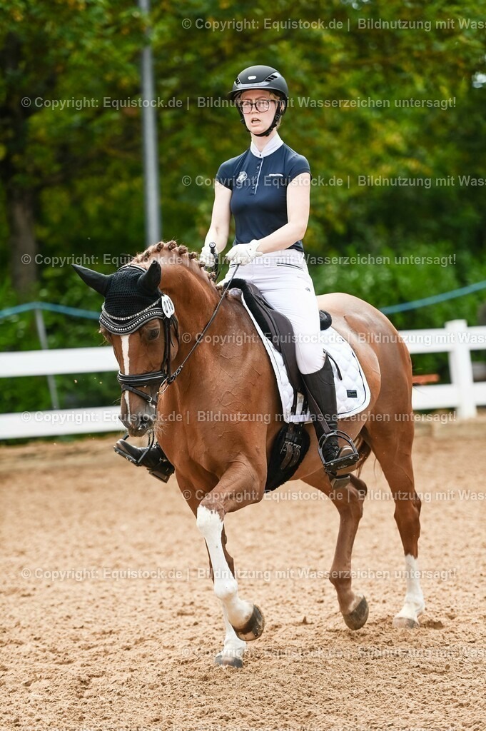 20230715_07_Dressurpferdeprfg. Kl.L_0083 | equistock
