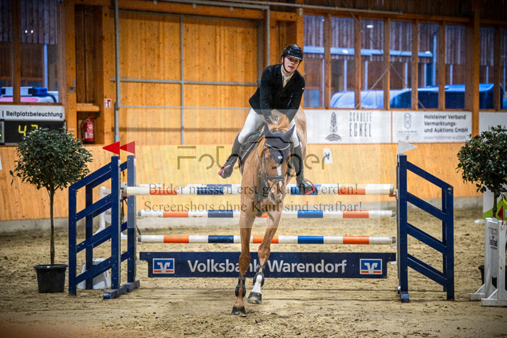 DOS_2886 | Entdecke hochwertige Reitturnierfotos von Foto Oger. Professionell, emotional und authentisch – jetzt Lieblingsmomente im Shop bestellen.Deutschlandweite Turnierfotografie. - Realisiert mit Pictrs.com