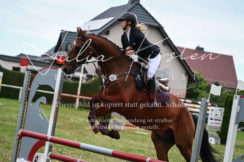 DSC_8501 | Pferde- und Turnierfotografie in Westsachsen. Pferdeportraits, Auftragszeichnungen und intuitive Kunst.