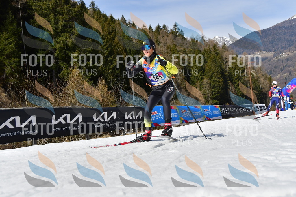 _DSC0109 | holidayphoto