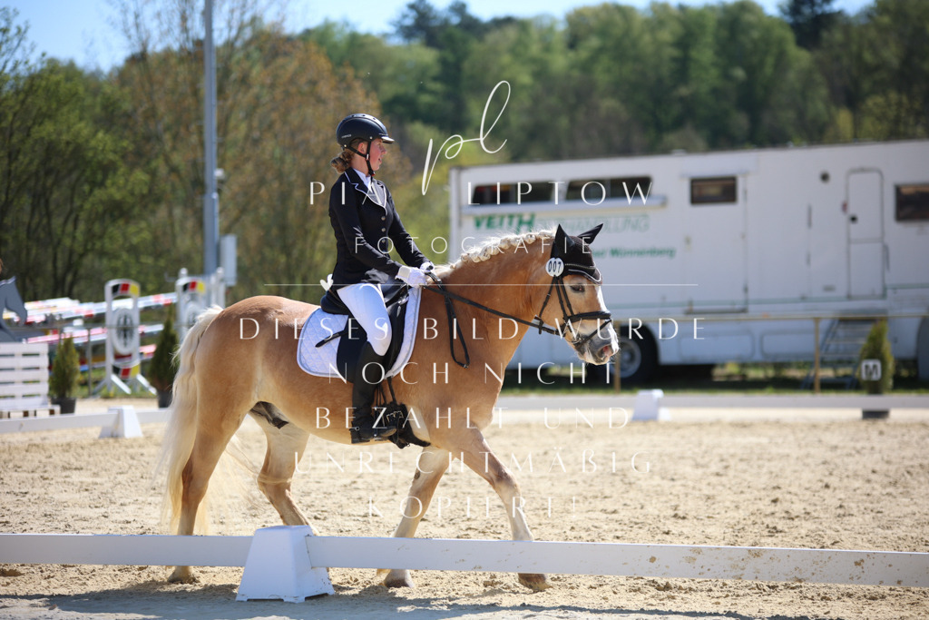 IMGT0433 | pl-fotografie