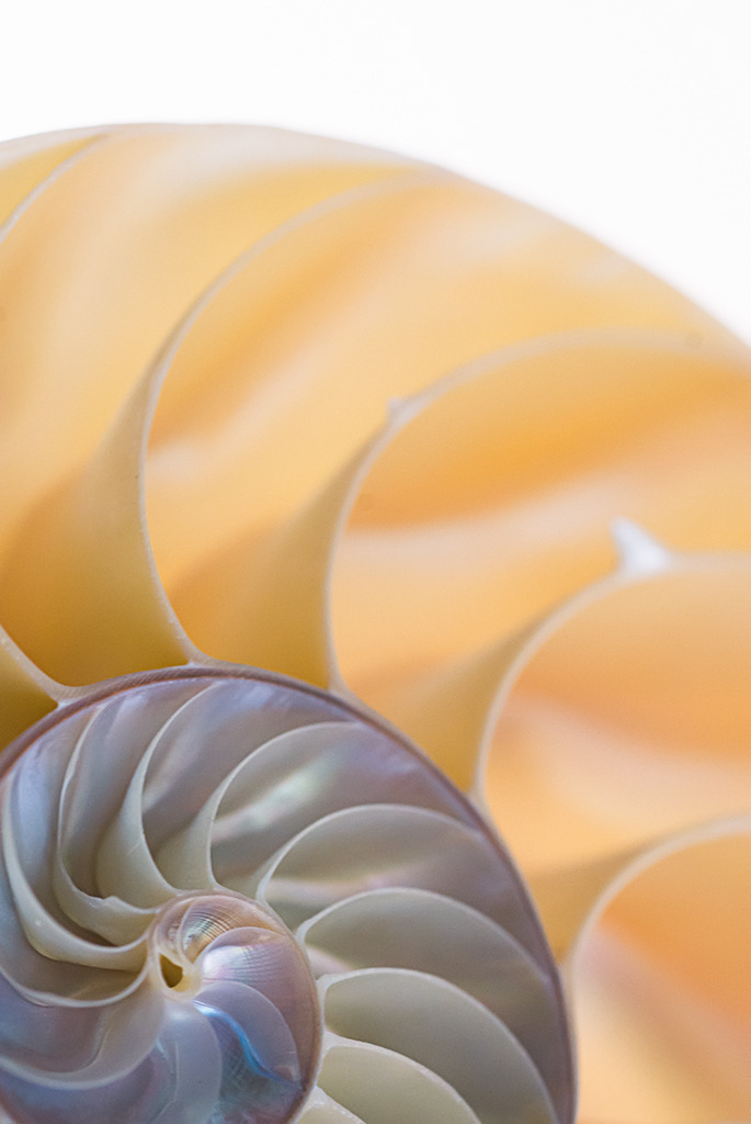 d_2007_03_0499 | Ausdrucksstarke Naturfotografien | Fotokunst Wandbilder zur Raumgestaltung für Zuhause | Praxis und Büro| Hotels und Wellness | Kanzlei und Repräsentanz. Hochwertig, individuell, flexibel. - Realisiert mit Pictrs.com