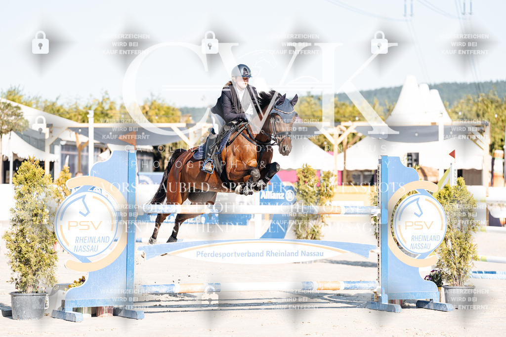 CK904239 | Turnierfotografie Pferdefotografie Trier Rheinland-Pfalz Pferdesport Reitsport Tierfotografie Sportfotografie Pferdevideo Pferdevideografie Equestrianvideography equestrianphotography  - Realisiert mit Pictrs.com