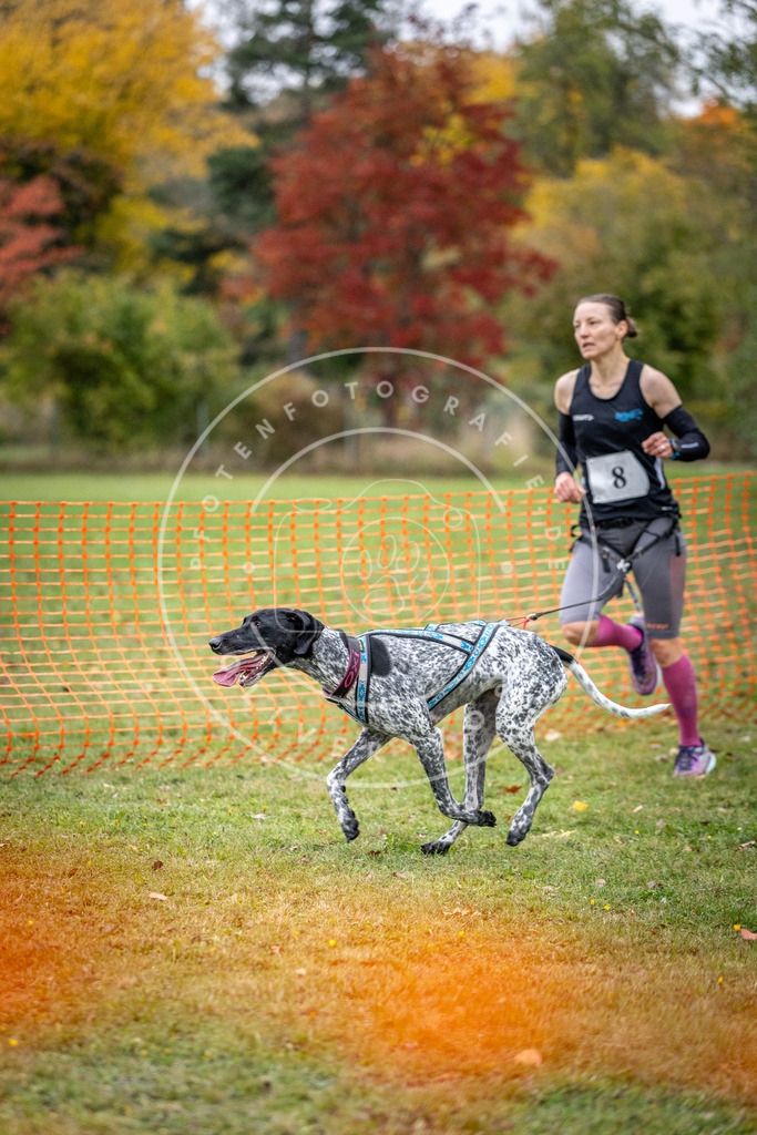 Pfotenfotografie_DV3A1763 | Hundefotografie, Tierfotograf, Pfotenfotografie, Fotoshooting Hund, Hunde Portrait, Hundesport, Hundeportraits, Heideshooting, Hunde, Sportfotograf, Hundefotograf, Turnierhundsport, THS,  - Realisiert mit Pictrs.com