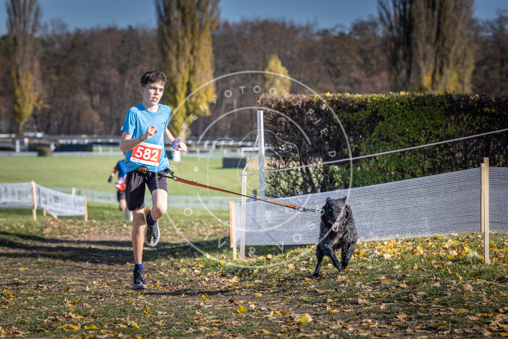 CaniXpix_DV3A9088 | Hundefotografie, Tierfotograf, Pfotenfotografie, Fotoshooting Hund, Hunde Portrait, Hundesport, Hundeportraits, Heideshooting, Hunde, Sportfotograf, Hundefotograf, Turnierhundsport, THS,  - Realisiert mit Pictrs.com