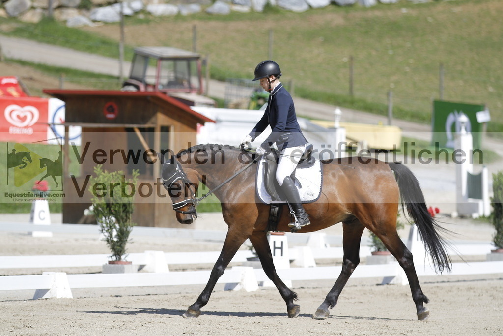 _MG_6650 | equestrian-live-com