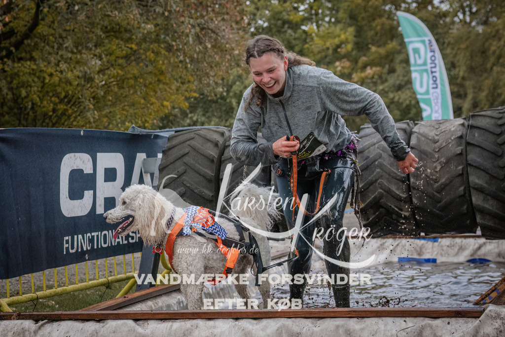 1642_ZZ93951 | kk-dogfotos