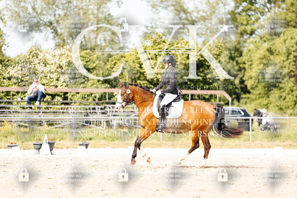 CK900565 | Turnierfotografie Pferdefotografie Trier Rheinland-Pfalz Pferdesport Reitsport Tierfotografie Sportfotografie Pferdevideo Pferdevideografie Equestrianvideography equestrianphotography  - Realisiert mit Pictrs.com