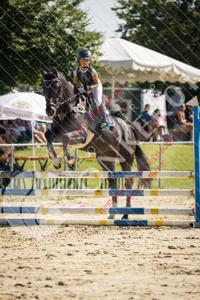 IMG_3002 | Sport-, Event- und Tierfotos in Profiqualität. Einfach auswählen, bestellen und herunterladen. Dein Moment – perfekt festgehalten.