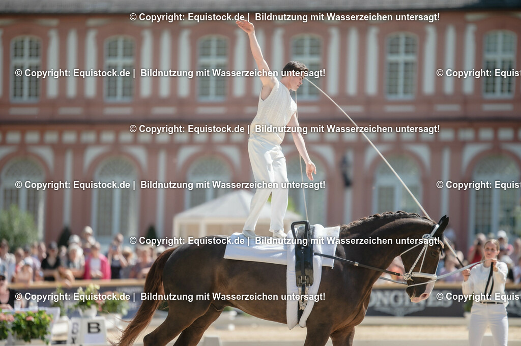 20230528_Voltigieren_NASPA_0099 | equistock